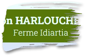 Logo Harlouche
